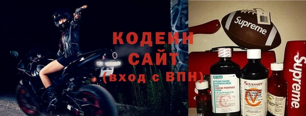 стаф Гусев