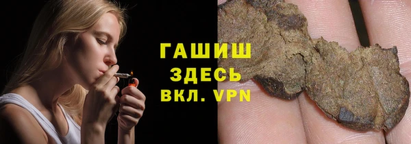 стаф Гусев