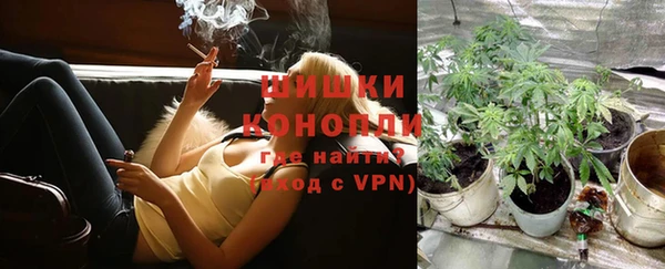 стаф Гусев