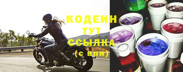 стаф Гусев