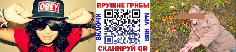 Галлюциногенные грибы мицелий  Крым 
